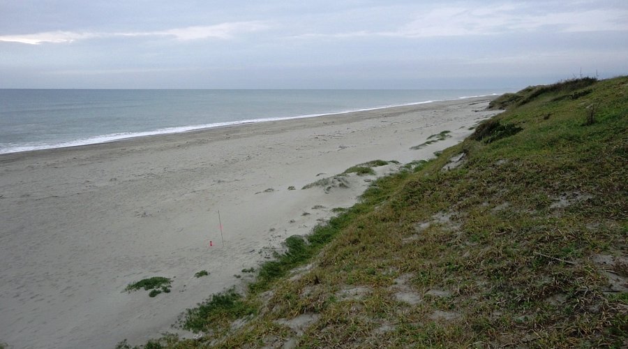 🏞️ 하마오카 사구 이미지 6